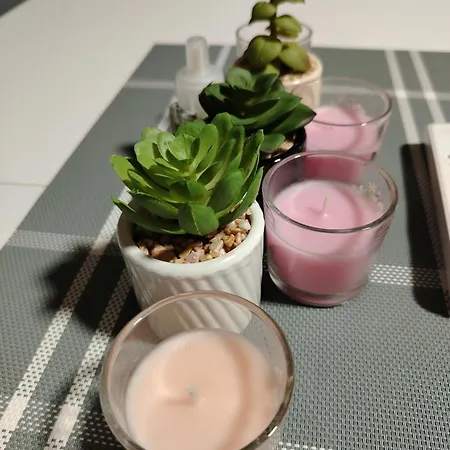 Apartamento Zdravkovic *